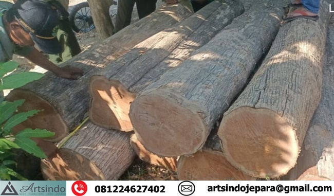 Kayu Merbau Papua Glondong